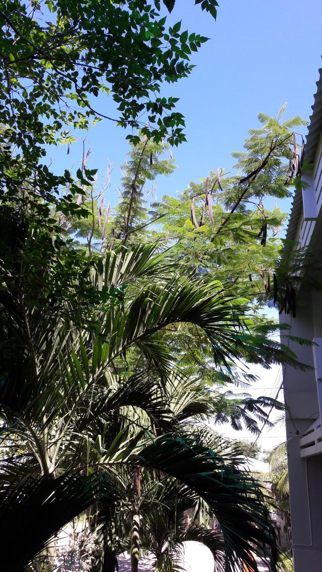 Addera Residence Hua Hin Extérieur photo
